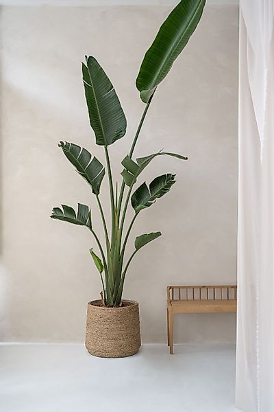 finestgreen Pflanzkübel Patt Straw Grass handgewebter günstig online kaufen