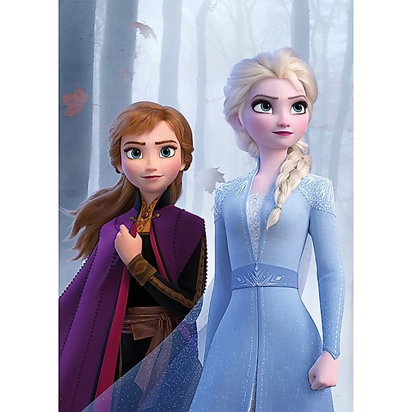 Komar Wandbild Frozen Sisters Wood 30 x 40 cm günstig online kaufen