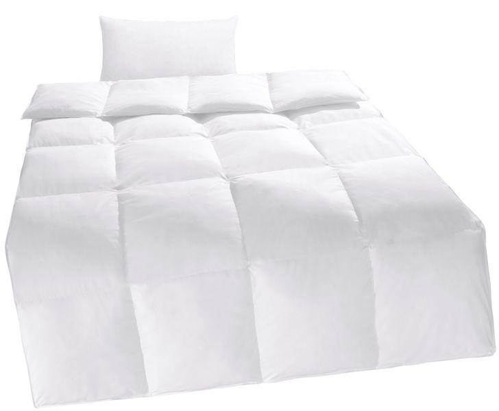 Home affaire Kunstfaserbettdecke + Kopfkissen »Taylore Set: 1 Bettdecke 135 günstig online kaufen