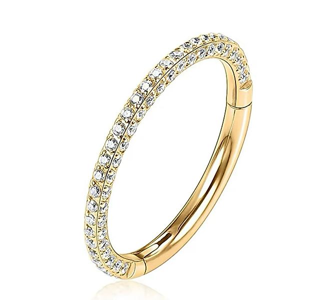 Karisma Schmuck Nasenpiercing Titan 23 Hinged Segmentring Charnier/Conch Cl günstig online kaufen