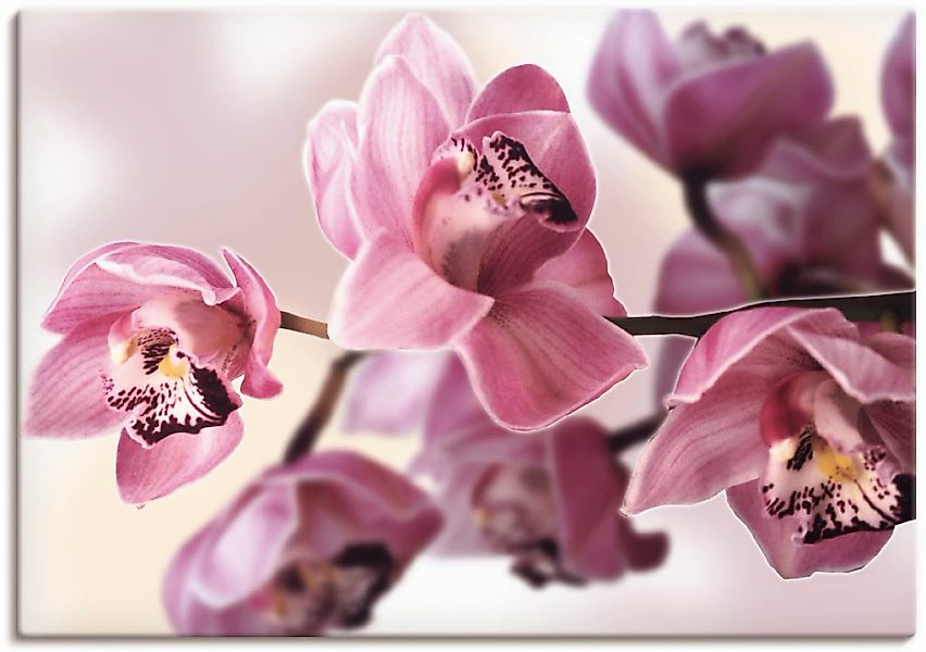 Artland Wandbild "Rosa Orchidee" Blumenbilder 1 Stk. tlg. auf Holzrahmen ge günstig online kaufen