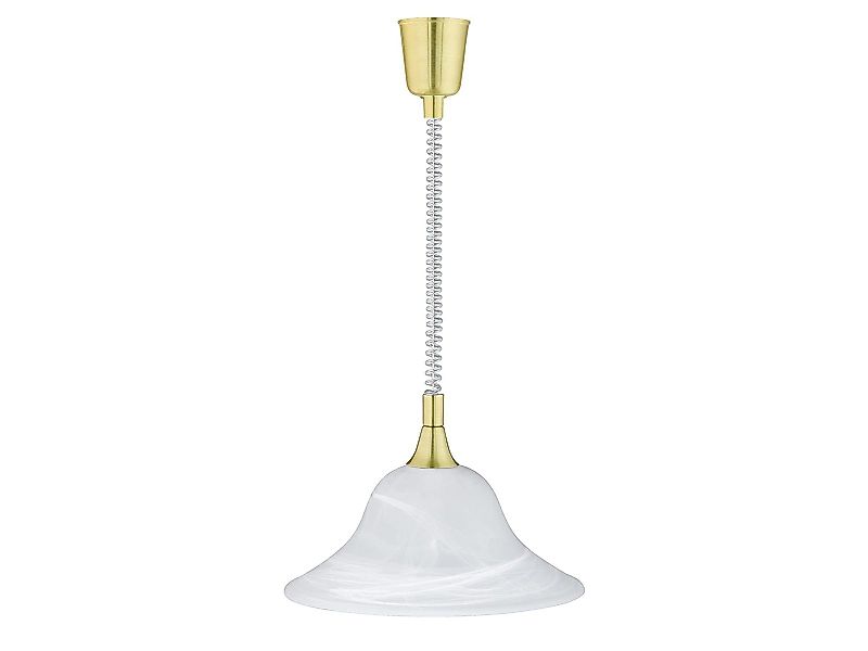 TRIO Leuchten LED Pendelleuchte, LED wechselbar, günstig online kaufen