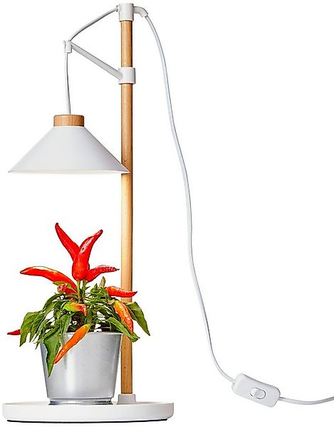 Northpoint Pflanzenlampe LED Pflanzenleuchte Kräutergarten aus Echtholz 9W günstig online kaufen