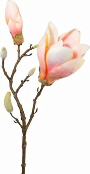 Kunstpflanze Magnolie apricot günstig online kaufen