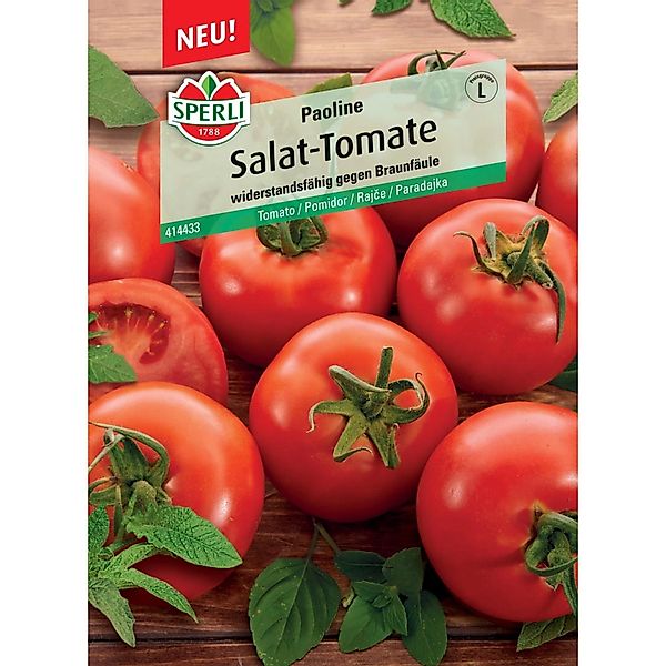 Sperli Salattomate Paoline F1-Hybride (Solanum lycopersicum) günstig online kaufen