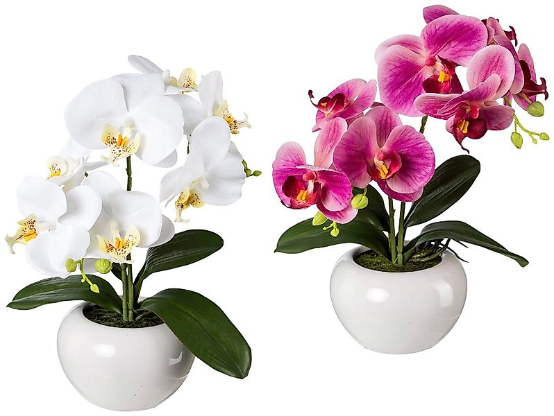 Kunstpflanze Orchidee, Creativ green, Höhe 35 günstig online kaufen