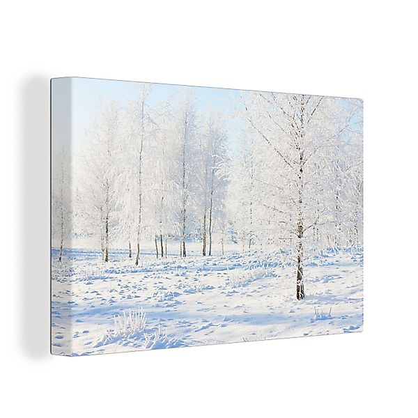 OneMillionCanvasses® Leinwandbild Schnee - Bäume - günstig online kaufen