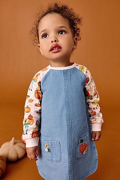 Next Jeanskleid Denim-Kleid mit Raglanärmeln (1-tlg) günstig online kaufen