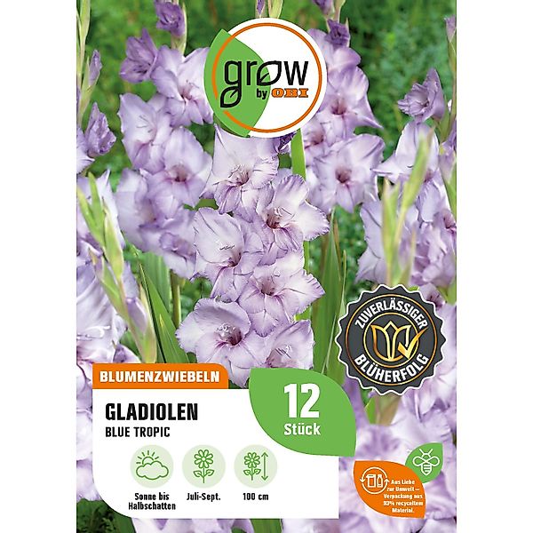 GROW by OBI Gladiole Blue Tropic Höhe ca. 100 cm Gladiolus grandiflorus günstig online kaufen