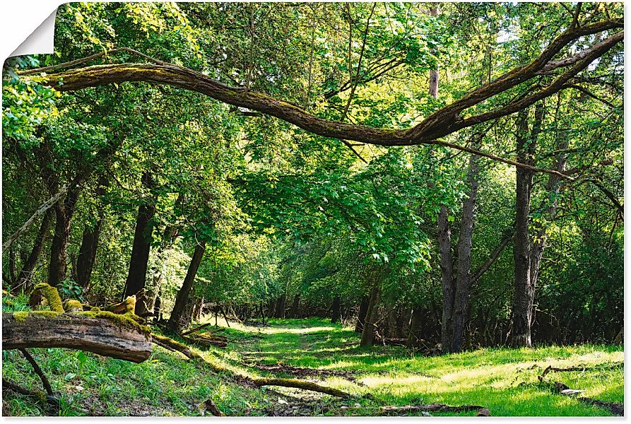 Artland Wandbild "Auf grünem Weg durch den grünen Wald", Wald, (1 St.), als günstig online kaufen