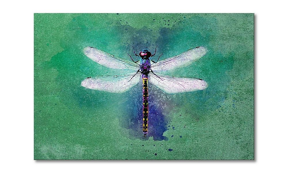 WandbilderXXL Leinwandbild Dragon Fly, Libelle (1 St), Wandbild,in 6 Größen günstig online kaufen
