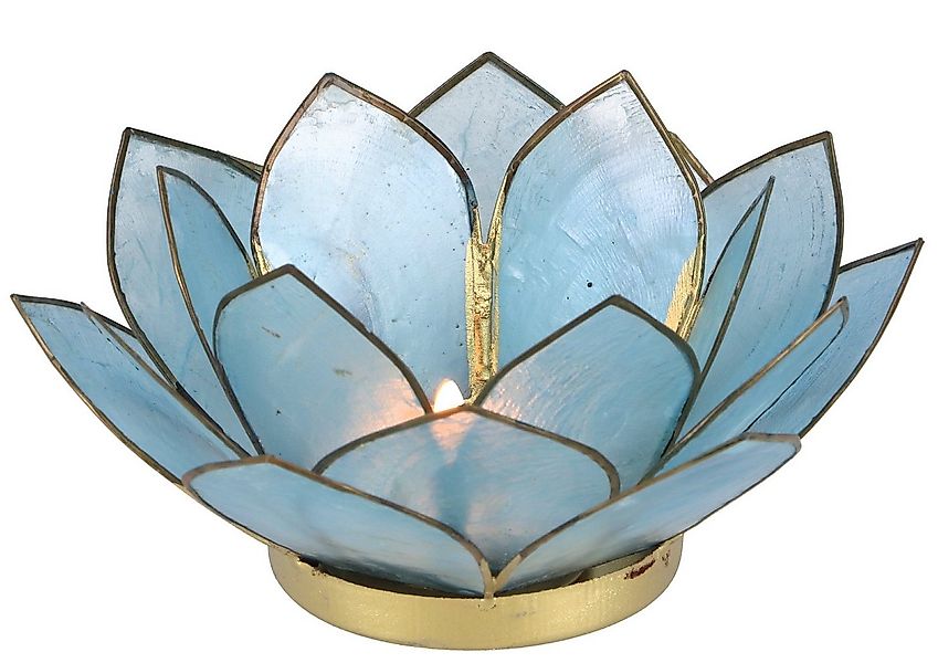 Guru-Shop Windlicht Lotus Teelicht Muschel 14*6 cm - himmelblau günstig online kaufen