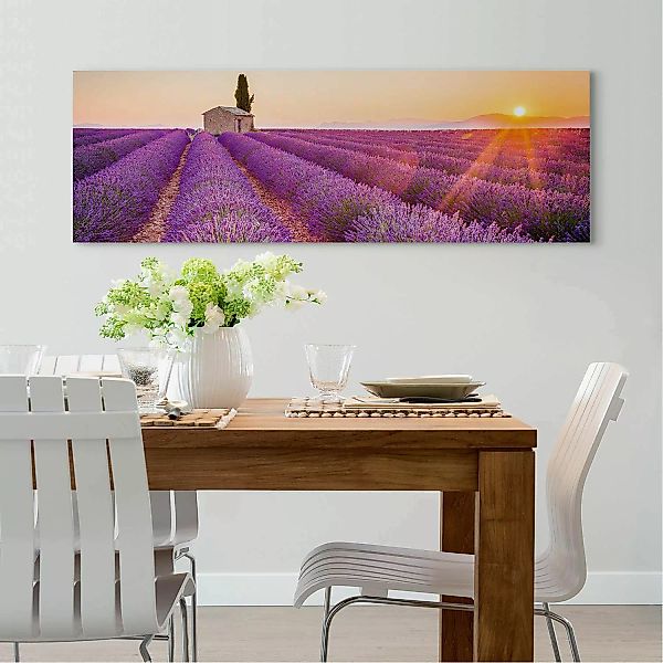 home24 Bild Lavendel Horizont günstig online kaufen