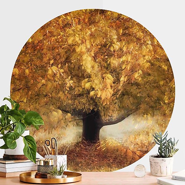 Runde Tapete selbstklebend Verträumter Baum im Herbst günstig online kaufen
