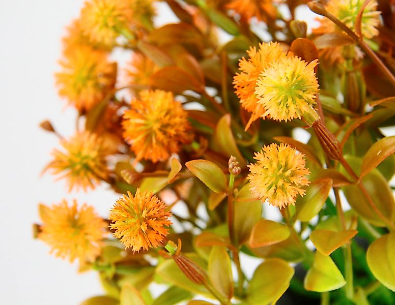 I.GE.A. Kunstpflanze "Margerite im Topf", Künstliche Blumen Blütenbusch Bus günstig online kaufen