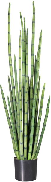 Kunstpflanze Sanseveria, Creativ green, Höhe 140 günstig online kaufen