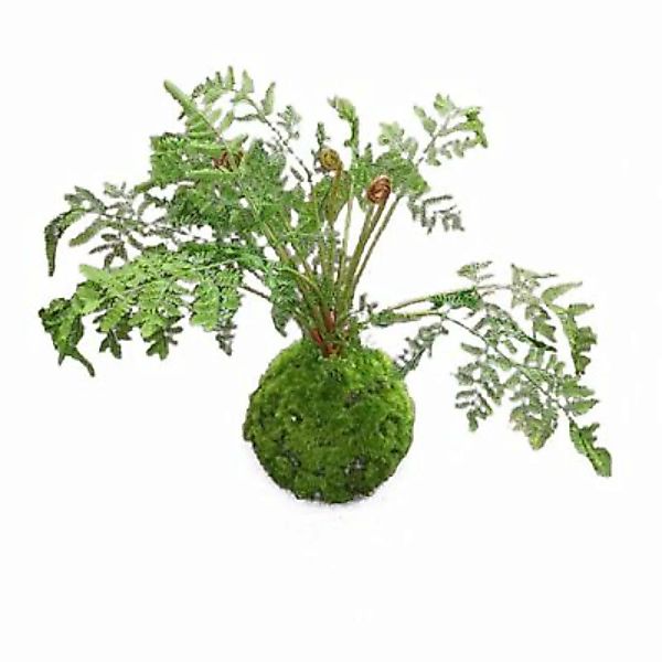 HTI-Living Kunstpflanze Farn-Busch Flora grün günstig online kaufen