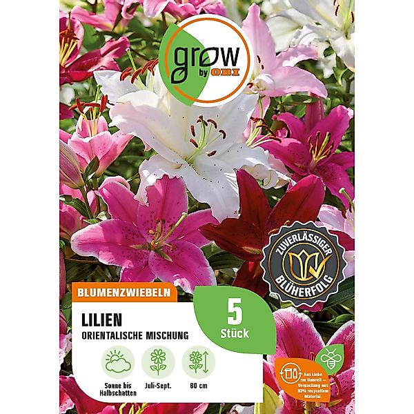 GROW by OBI Lilien Mischung Höhe ca. 80 cm Lilium oriental günstig online kaufen