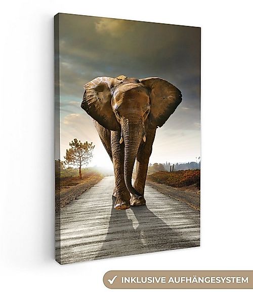 OneMillionCanvasses® Leinwandbild Elefant - Straße - Tiere - Sonnenuntergan günstig online kaufen