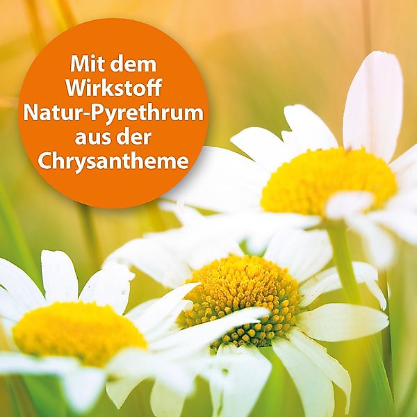 Ardap Insektenspray Ardap Spot-On für Hunde günstig online kaufen