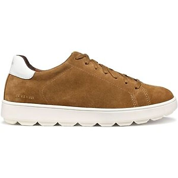 Geox  Sneaker Baskets  Spherica Ecub-1 C günstig online kaufen