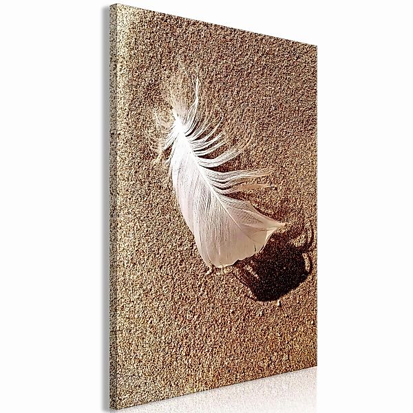 Wandbild - Feather on the Sand (1 Part) Vertical günstig online kaufen