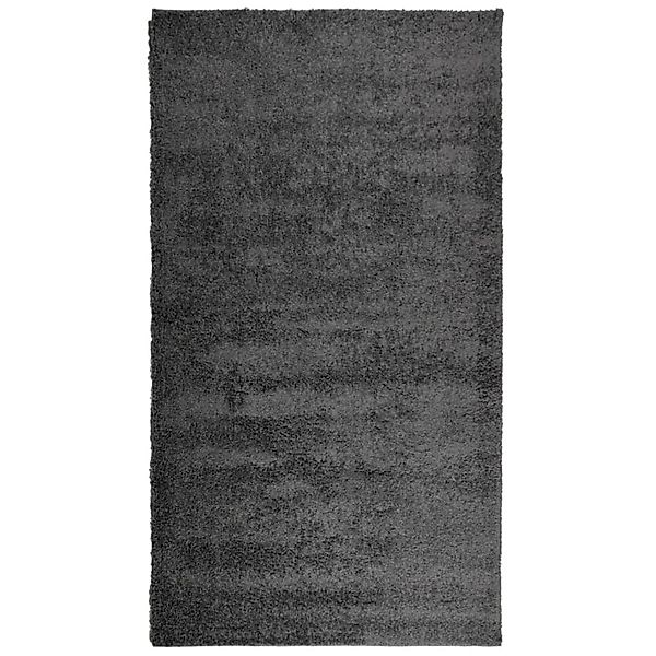 vidaXL Teppich Shaggy Hochflor Modern Anthrazit 60x110 Cm 1955855 günstig online kaufen