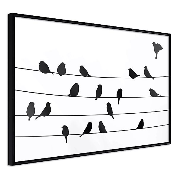 Poster - Birds Council Meeting günstig online kaufen