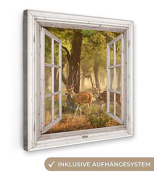 OneMillionCanvasses® Leinwandbild Hirsche - Wald - günstig online kaufen