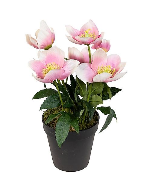 Kunstblume Christrosenbusch im Topf PM Kunstpflanzen künstliche Blumen Chri günstig online kaufen