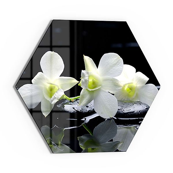 DEQORI Glasbild 'Orchidee mit Zen-Steinen', 'Orchidee günstig online kaufen