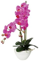 Kunstpflanze Orchidee Orchidee, Creativ green, Höhe günstig online kaufen