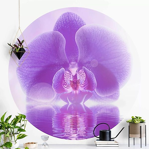 Runde Fototapete Lila Orchidee auf Wasser günstig online kaufen