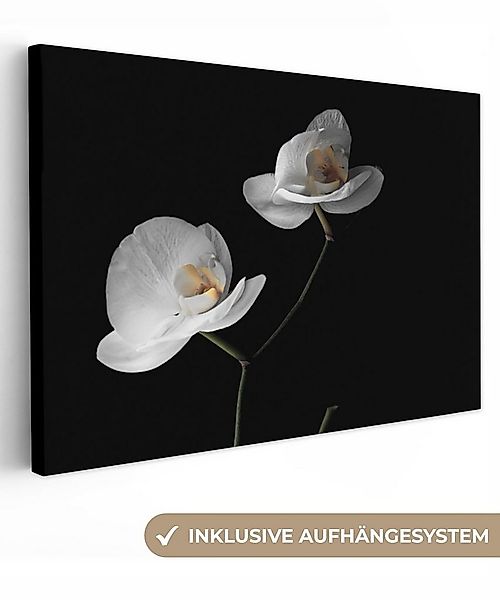 OneMillionCanvasses® Leinwandbild Orchidee - Blumen - Schwarz - Weiß - Stil günstig online kaufen