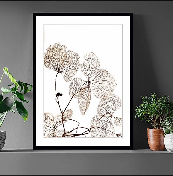 queence Bild »Ina«, Blumen, Blumen, gerahmt günstig online kaufen