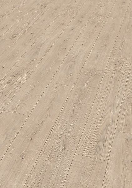 EGGER Laminat Promo NL1031 Berdal Eiche hell, (8mm, 1,995m), Praktisch & Pf günstig online kaufen