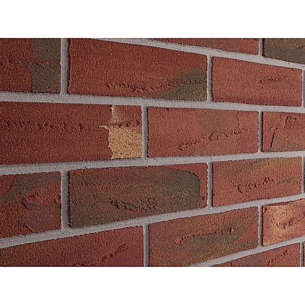 Elabrick Verblender Geneve 24 cm x 7,1 cm günstig online kaufen