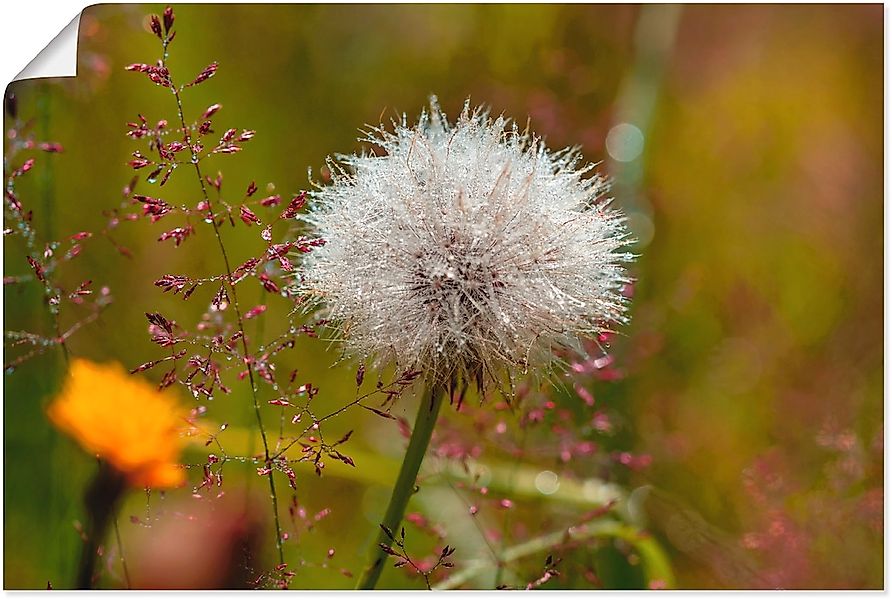 Artland Wandbild "Pusteblume im Blumenfeld", Blumen, (1 St.), als Leinwandb günstig online kaufen