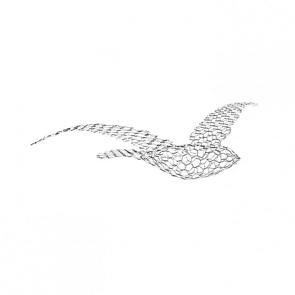 Magis - Birds Skulptur/Deckendekoration - grau/lackiert/matt/klein: 35x53cm günstig online kaufen