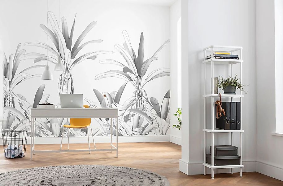 Komar Fototapete Vlies Musa  400 x 280 cm günstig online kaufen