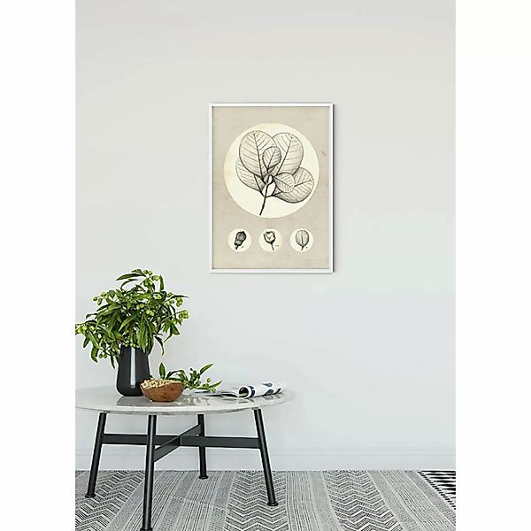 Komar Bild "Transparent Leaf", Pflanzen-Blätter, (1 St.), Wandbild zur Deko günstig online kaufen