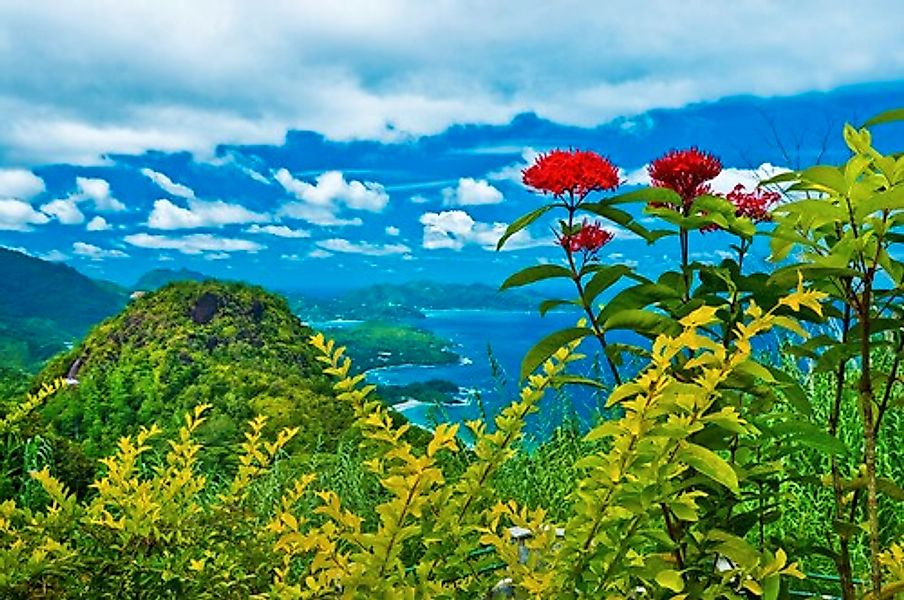 Papermoon Fototapete »INSEL-SEYCHELLEN BLUMEN KÜSTE GEBIRGE MEER PANORAMA« günstig online kaufen