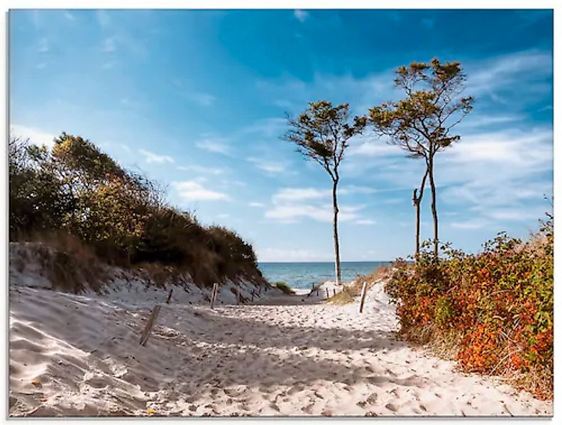 Artland Glasbild »Weststrand Darss« Strand 1 Stk. tlg. in verschiedenen Grö günstig online kaufen