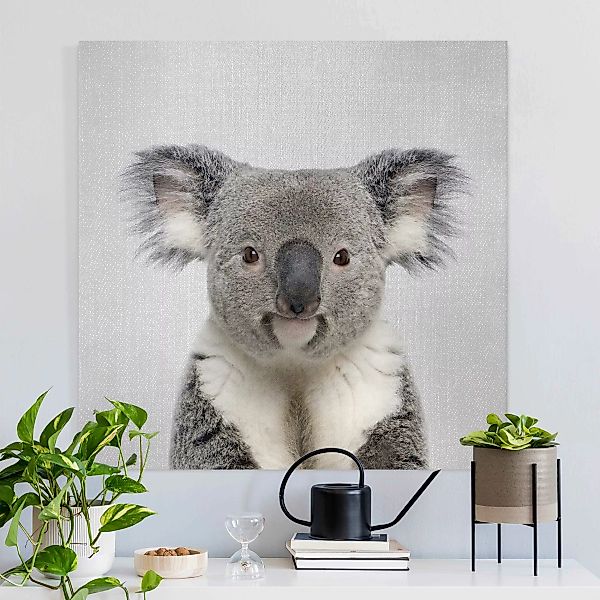 Leinwandbild Koala Klaus günstig online kaufen