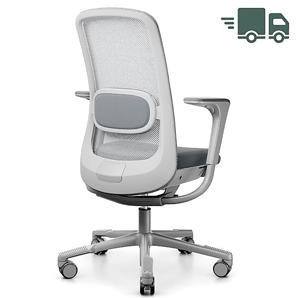 HAG SoFi Mesh 7500 | 2D Armlehnen mit SlideBack Funktion | Hellgrau | Geste günstig online kaufen