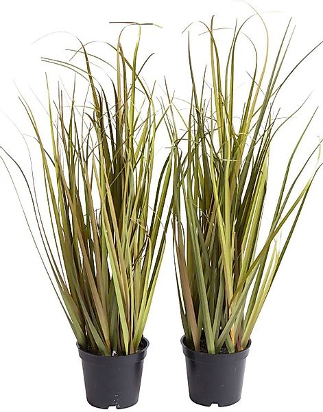 Kunstgras Grasarrangement Gras, Botanic-Haus, Höhe 48 günstig online kaufen