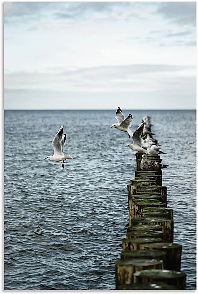 Artland Alu-Dibond-Druck "Möwen starten von einer Buhnenreihe" Vogelbilder günstig online kaufen