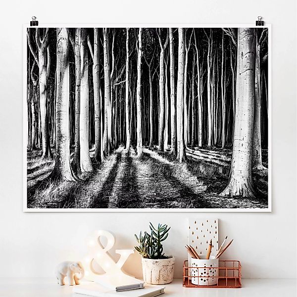 Poster Natur & Landschaft - Querformat Geisterwald günstig online kaufen