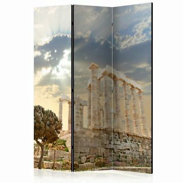 artgeist Paravent The Acropolis, Greece [Room Dividers] mehrfarbig Gr. 135 günstig online kaufen