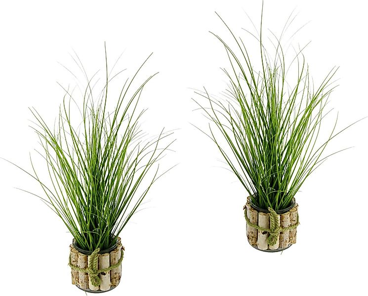 Kunstpflanze Gras, I.GE.A., Höhe 56 cm günstig online kaufen